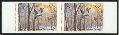 Arkansas Duck Stamp 1993