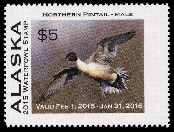 Alaska Waterfowl Stamp 2015